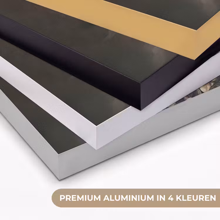 Papegaaien - Vogels - Natuur - Bloemen Textielframe zwart klein -USP_kleurenNL