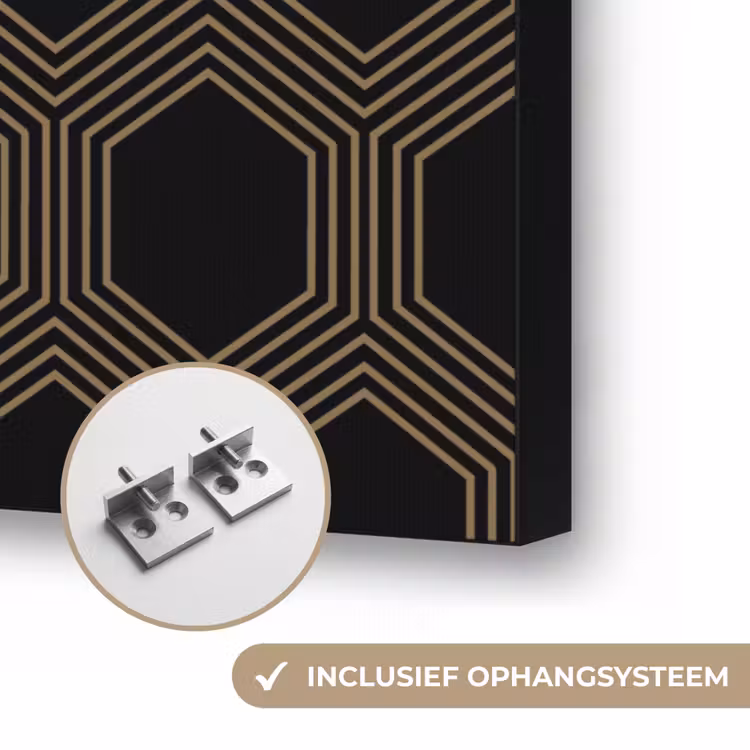Parallel - Goud - Zwart - Bijenraatmotief Textielframe zwart klein 947 -USP_ophangsysteemNL
