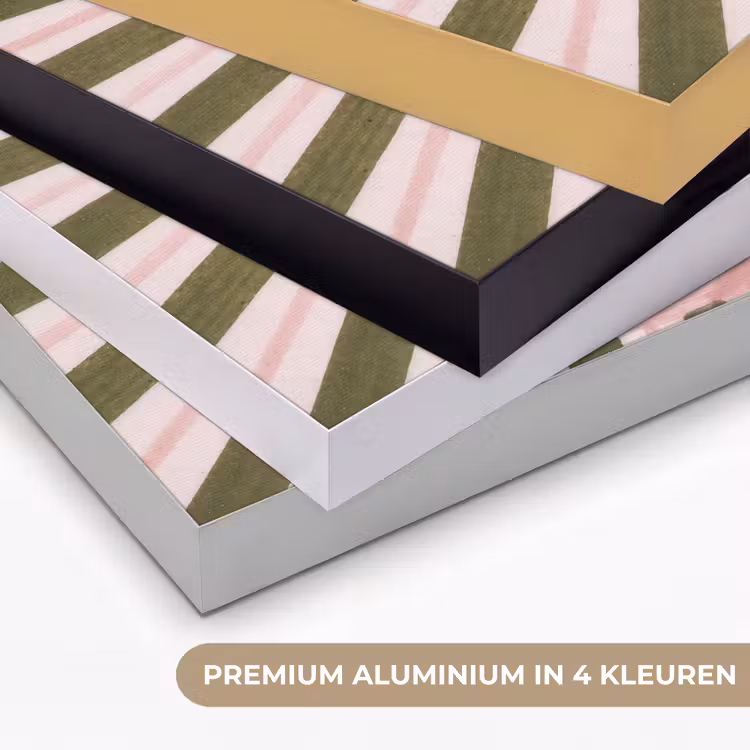 Patroon - Cirkel - Stralen - Abstract - Roze Textielframe zwart klein -USP_kleurenNL