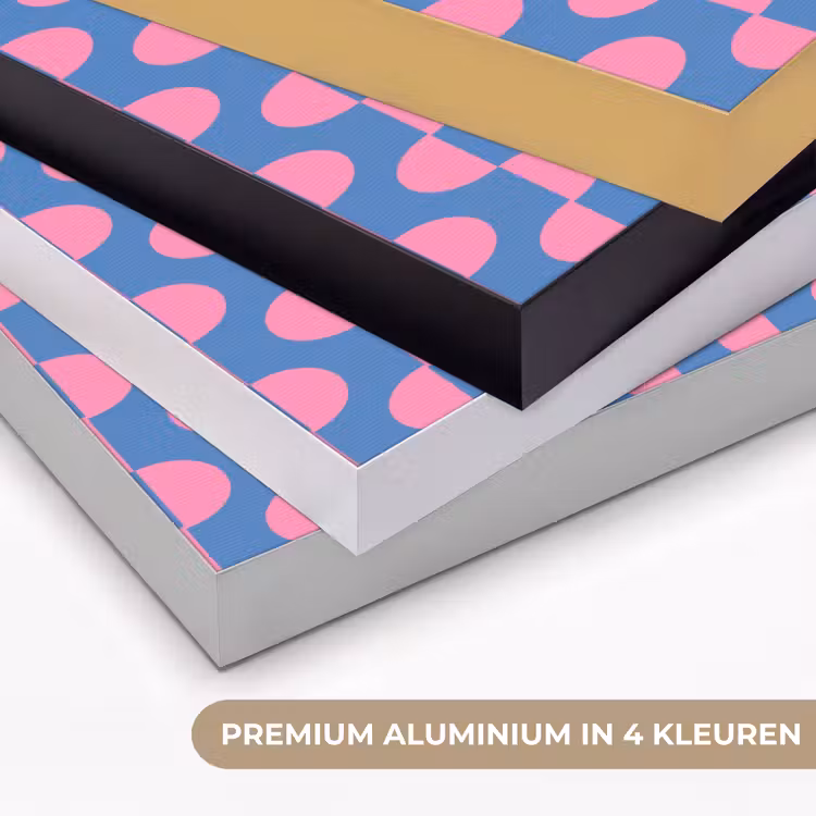 Patroon - Halve cirkels - Abstract - Modern - Roze - Blauw Textielframe zwart klein -USP_kleurenNL