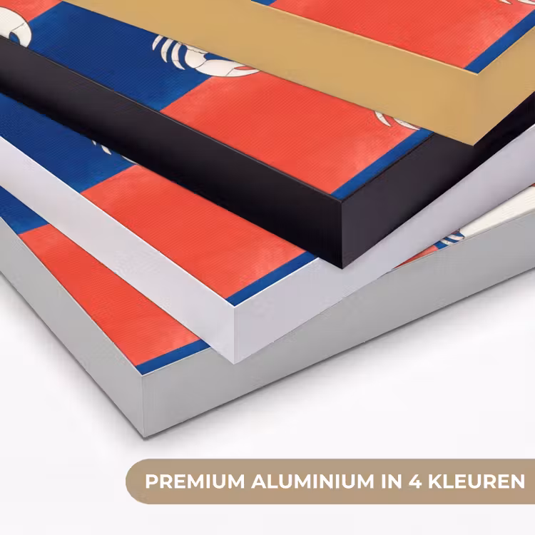 Patroon - Zeeleven - Rood - Blauw - Abstract Textielframe zwart klein -USP_kleurenNL