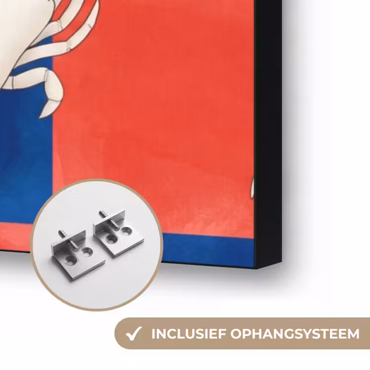 Patroon - Zeeleven - Rood - Blauw - Abstract Textielframe zwart klein -USP_ophangsysteemNL