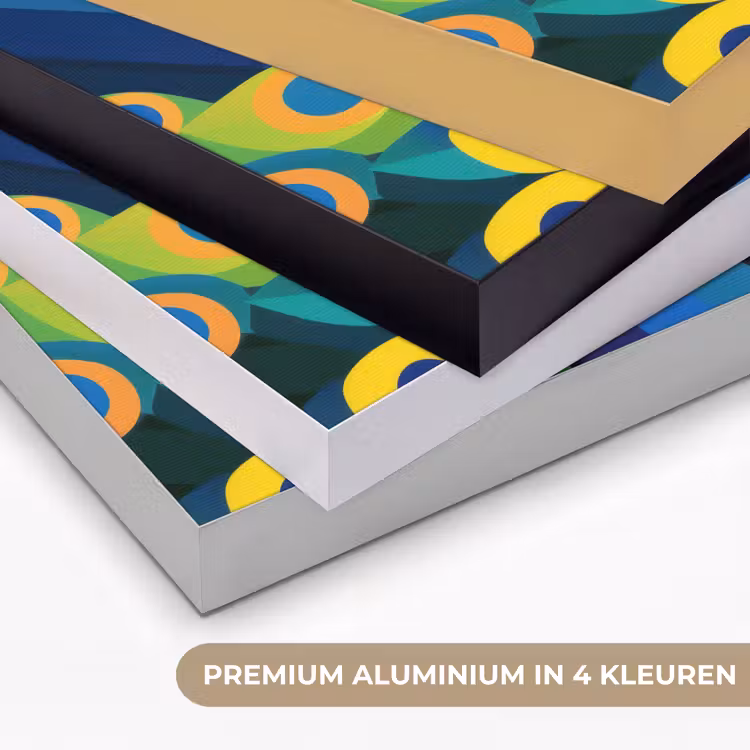 Pauw - Cirkels - Blauw Textielframe zwart klein -USP_kleurenNL
