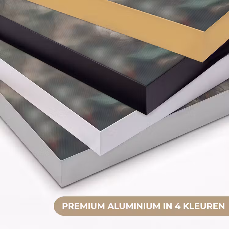 Pauw - Pauwenveren - Vogel - Jungle - Bloemen Textielframe zwart klein -USP_kleurenNL