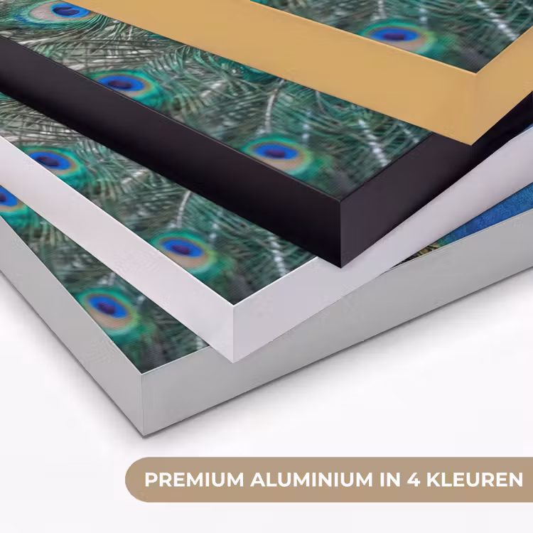 Pauw - Veren - Blauw Textielframe zwart klein -USP_kleurenNL