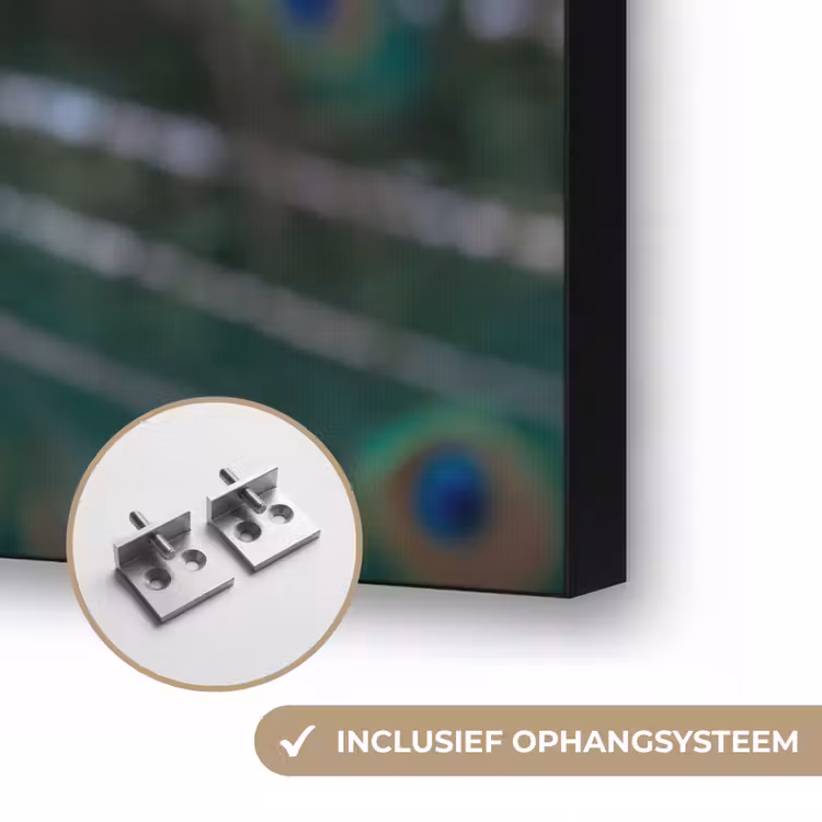 Pauw - Veren - Blauw Textielframe zwart klein -USP_ophangsysteemNL
