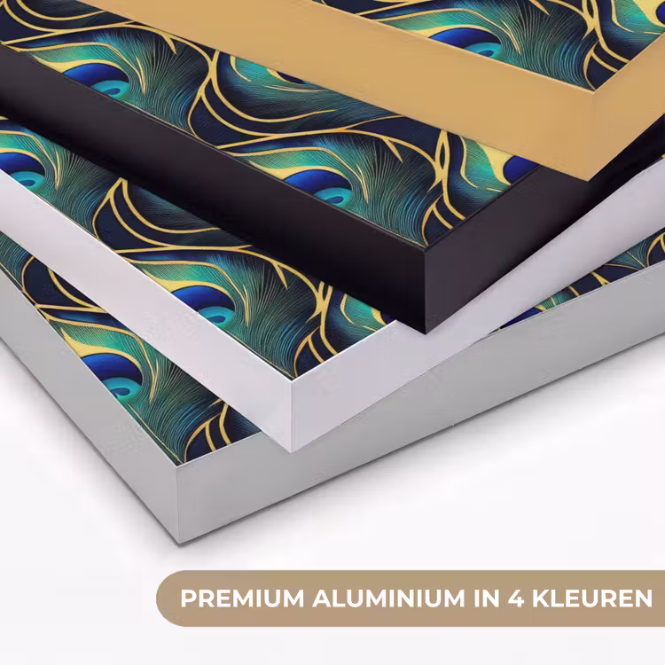 Pauw - Veren - Groen Textielframe zwart klein 947 -USP_kleurenNL