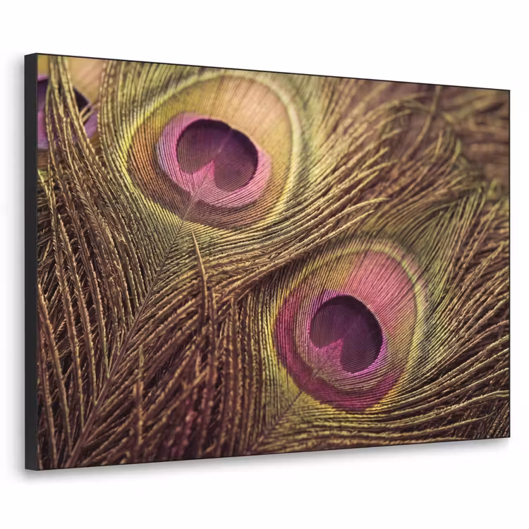 Pauw - Veren - Paars - Groen Textielframe zwart klein -3d