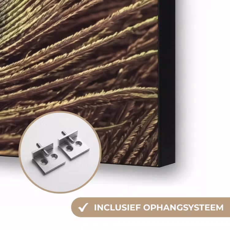 Pauw - Veren - Paars - Groen Textielframe zwart klein -USP_ophangsysteemNL