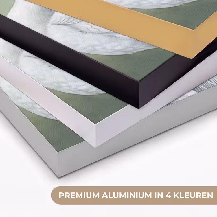Pauwen - Wit - Natuur - Groen Textielframe zwart klein -USP_kleurenNL