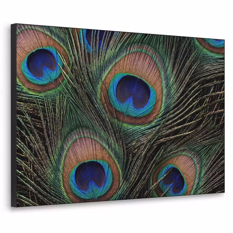 Pauwenveren - Klassiek - Groen Textielframe zwart klein -3d