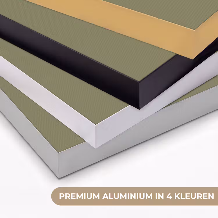 Pelikaan - Wit - Vogel - Klassiek - Natuur Textielframe zwart klein -USP_kleurenNL