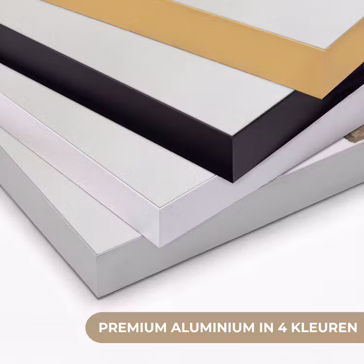 Penseelstreken - Balans - Beige - Bruin Textielframe zwart klein -USP_kleurenNL