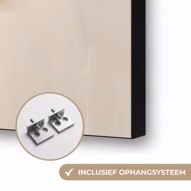 Penseelstreken - Ruw - Abstract - Beige Textielframe zwart klein -USP_ophangsysteemNL
