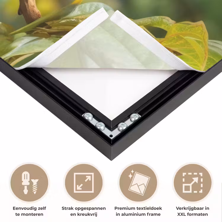 Perzik - Bladeren - Zonlicht Textielframe zwart klein -USP_feed_closeupNL