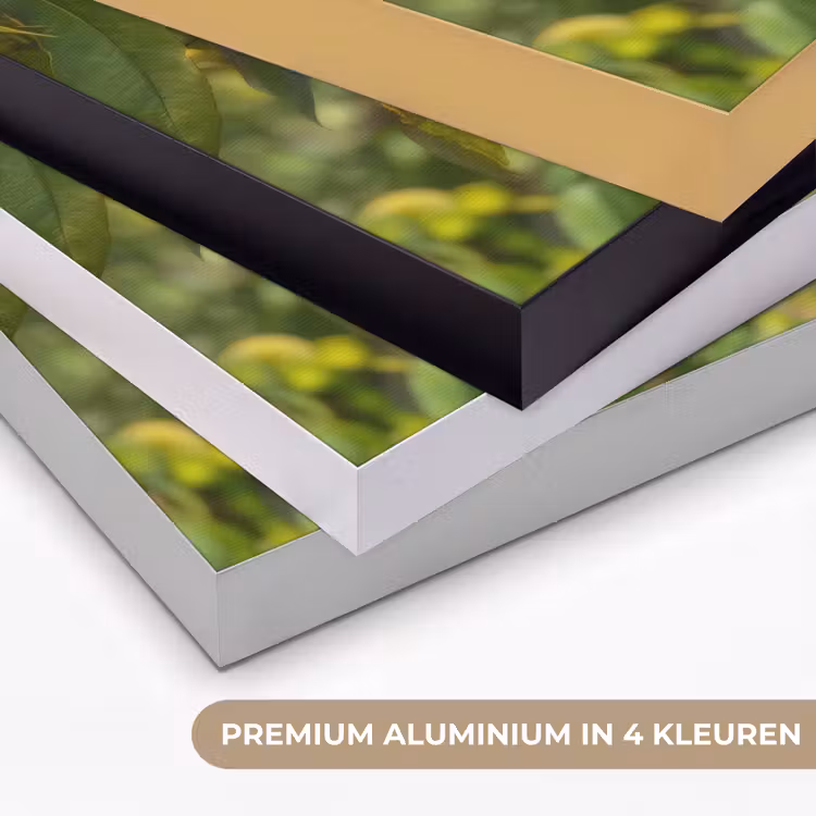 Perzik - Bladeren - Zonlicht Textielframe zwart klein -USP_kleurenNL