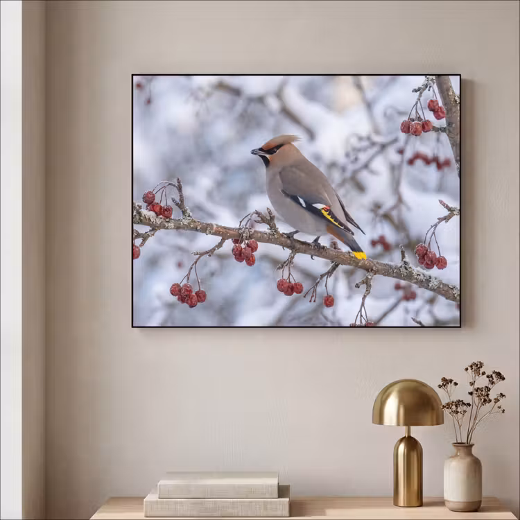 Pestvogel - Bessen - Winter - Natuur Textielframe zwart klein -sfeer2