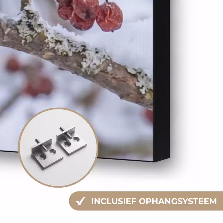 Pestvogel - Bessen - Winter - Natuur Textielframe zwart klein -USP_ophangsysteemNL