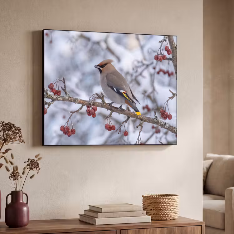 Pestvogel - Bessen - Winter - Natuur Textielframe zwart klein -sfeer3