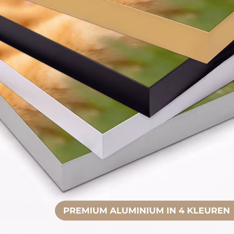 Pijltje - Eend - Natuur - Geel Textielframe zwart klein -USP_kleurenNL