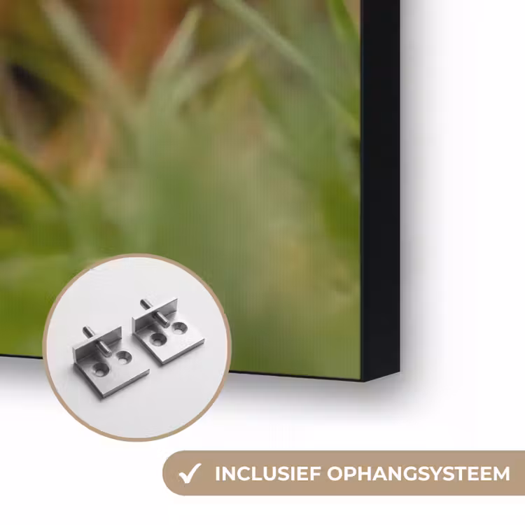 Pijltje - Eend - Natuur - Geel Textielframe zwart klein -USP_ophangsysteemNL