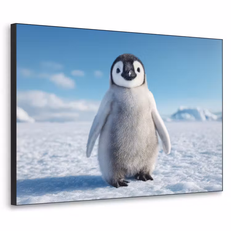 Pinguïn - Sneeuw - Landschap - Wit Textielframe - compleet frame klein -3d