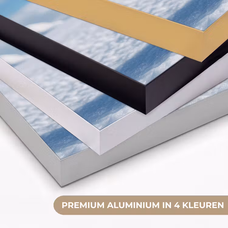 Pinguïn - Sneeuw - Landschap - Wit Textielframe zwart klein -USP_kleurenNL