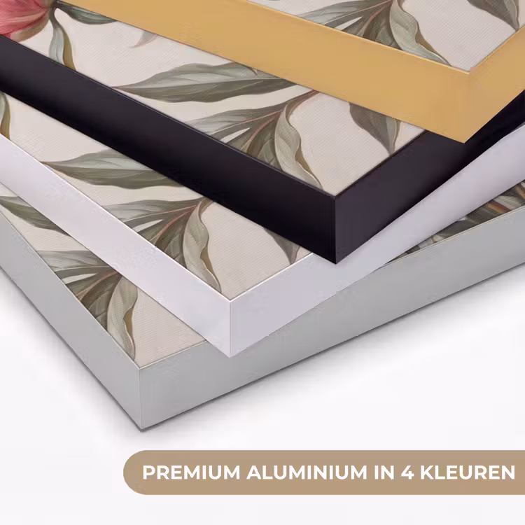 Pioenrozen - Boeket - Roze Textielframe zwart klein -USP_kleurenNL