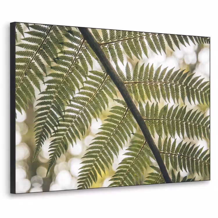 Plant - Blad - Natuur - Groen - Detail Textielframe zwart klein -3d