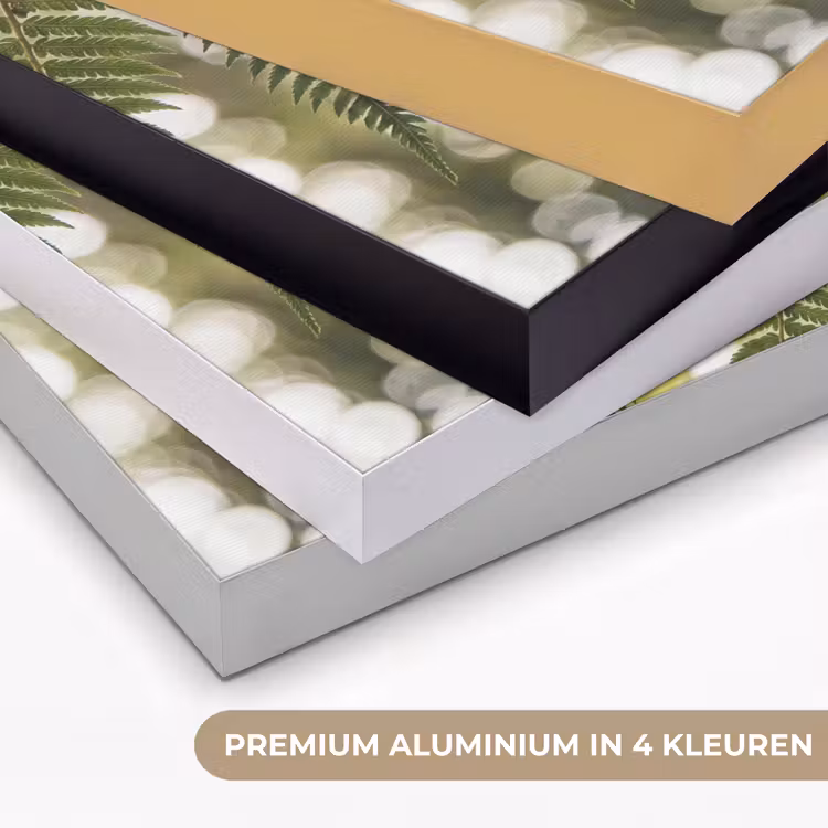 Plant - Blad - Natuur - Groen - Detail Textielframe zwart klein -USP_kleurenNL