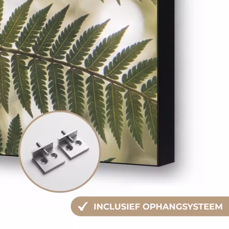 Plant - Blad - Natuur - Groen - Detail Textielframe zwart klein -USP_ophangsysteemNL