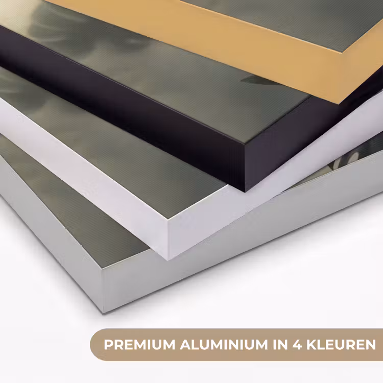 Planten - Bladeren - Schaduwen - Groen - Modern Textielframe zwart klein -USP_kleurenNL