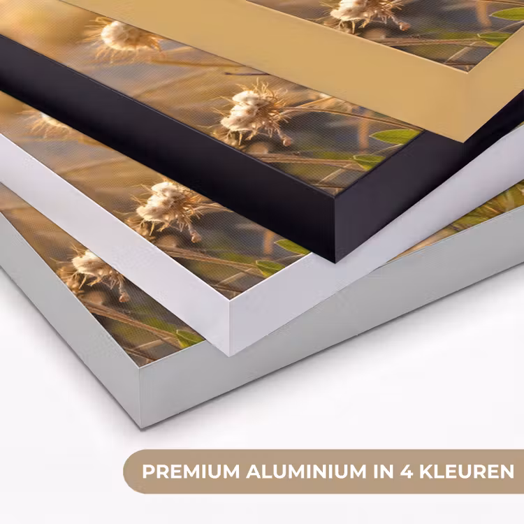 Planten - Natuur - Bloemen - Zon - Horizon Textielframe zwart klein -USP_kleurenNL