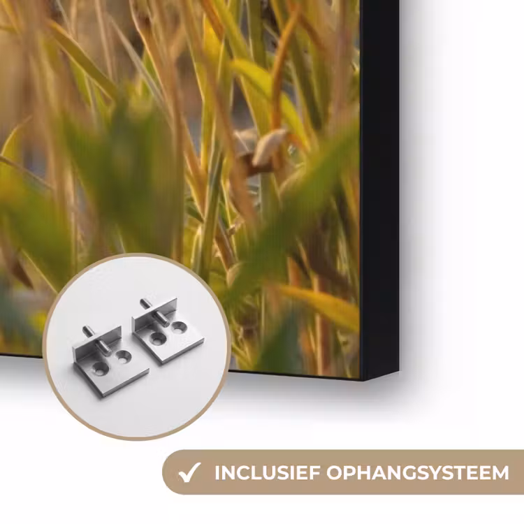Planten - Natuur - Bloemen - Zon - Horizon Textielframe zwart klein -USP_ophangsysteemNL