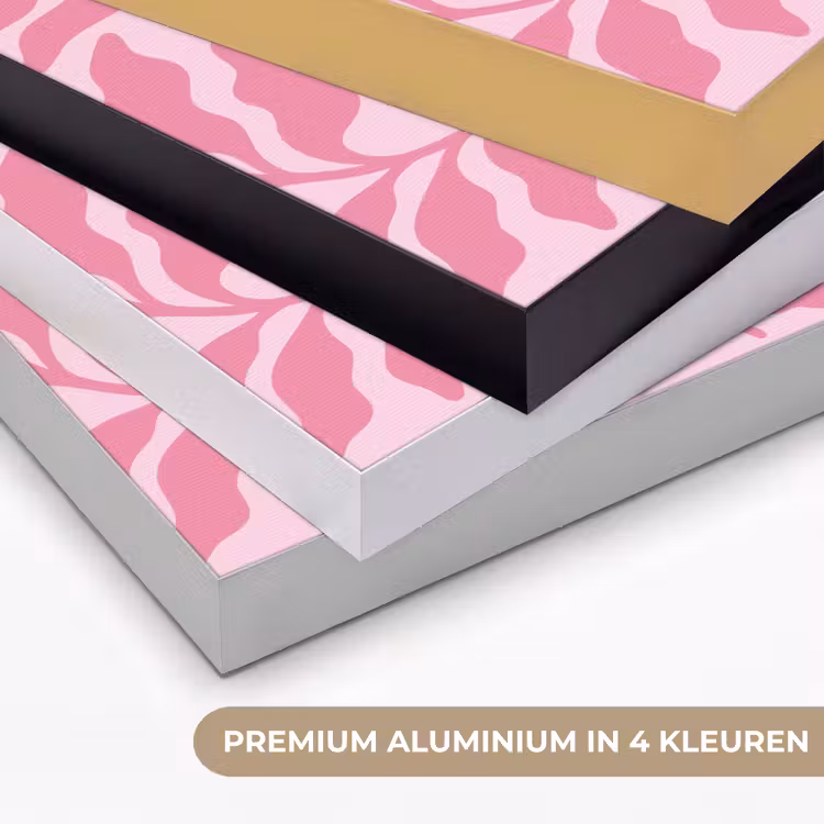 Planten - Organisch - Abstract - Modern - Roze Textielframe zwart klein -USP_kleurenNL