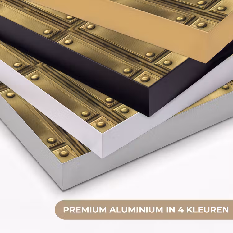 Platen - Industrieel - Stoer - Goud Textielframe zwart klein 947 -USP_kleurenNL