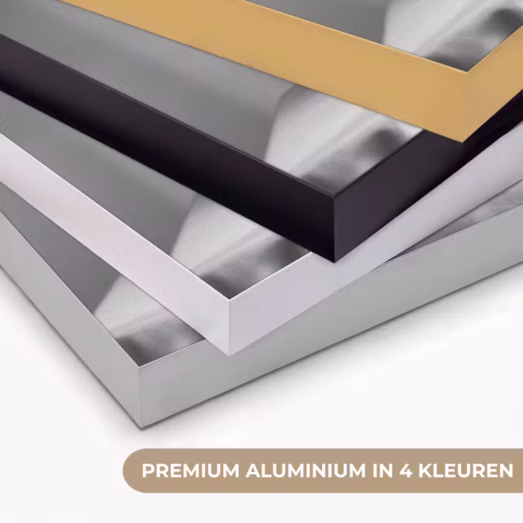 Poedel - Hond - Zwart - Wit - Schattig - Pasta Textielframe zwart klein -USP_kleurenNL