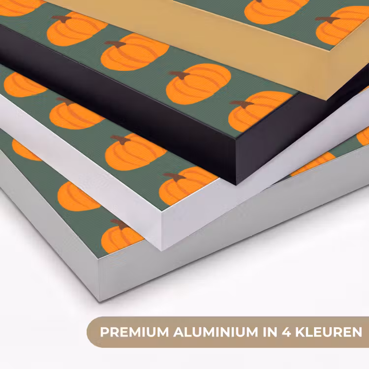 Pompoen - Patroon - Oranje Textielframe zwart klein 947 -USP_kleurenNL