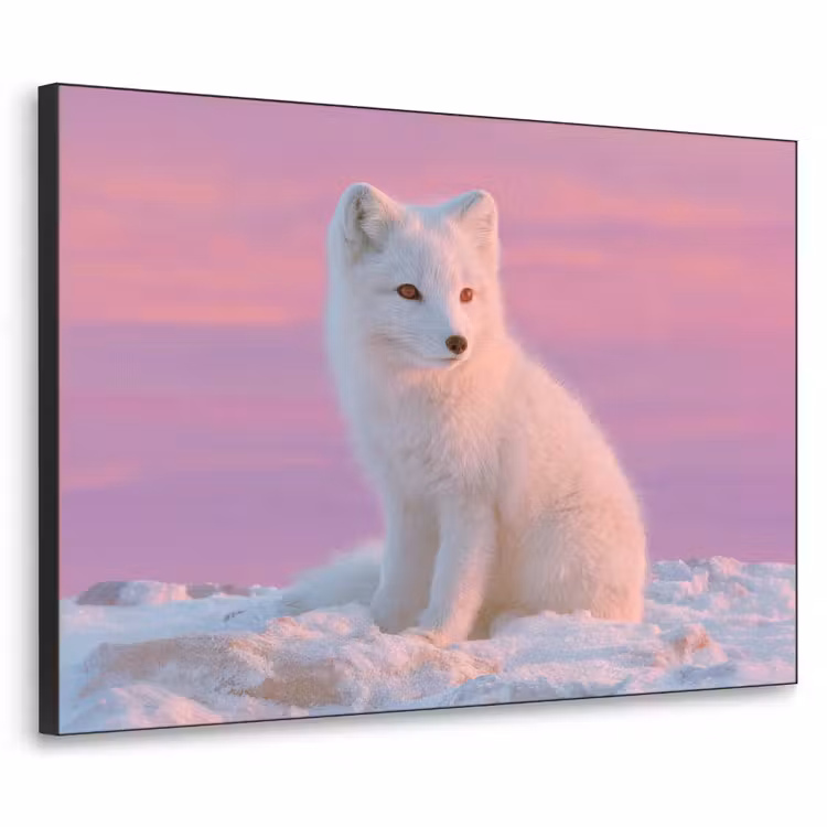 Poolvos - Sneeuw - Roze Textielframe - compleet frame klein -3d