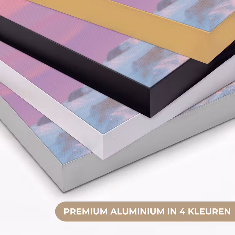 Poolvos - Sneeuw - Roze Textielframe zwart klein -USP_kleurenNL