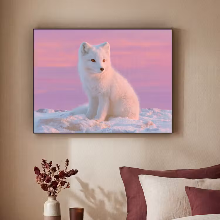 Poolvos - Sneeuw - Roze Textielframe zwart klein -sfeer1