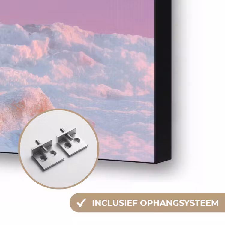 Poolvos - Sneeuw - Roze Textielframe zwart klein -USP_ophangsysteemNL