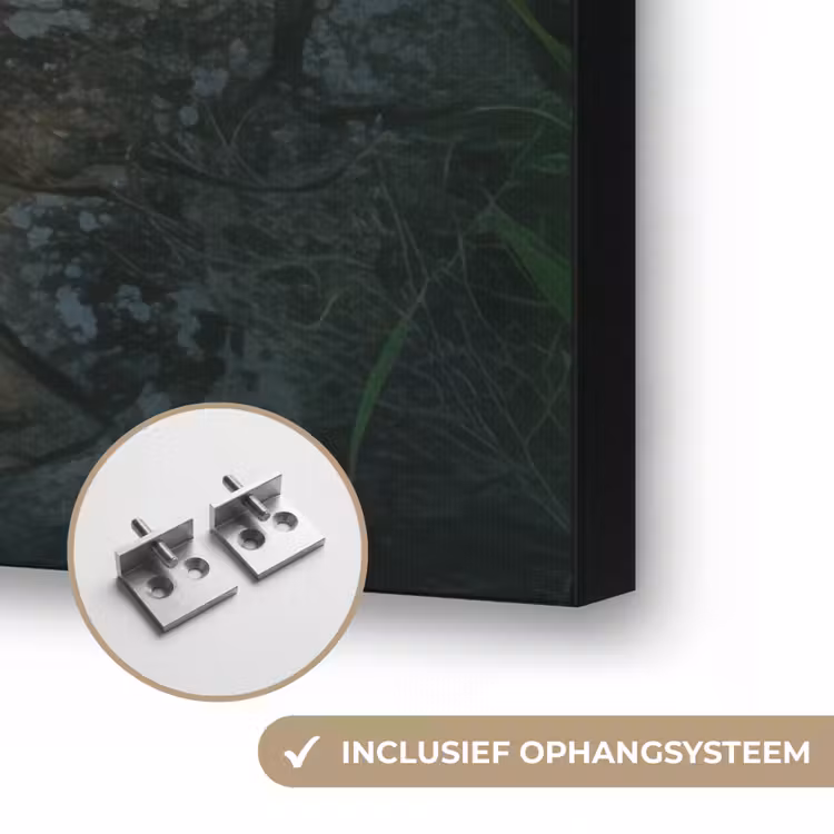 Poort - Planten - Zonsondergang Textielframe zwart klein -USP_ophangsysteemNL