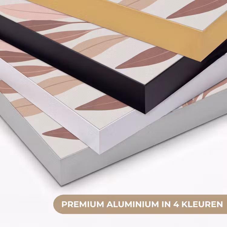 Protea - Bloem - Botanisch - Beige Textielframe zwart klein -USP_kleurenNL