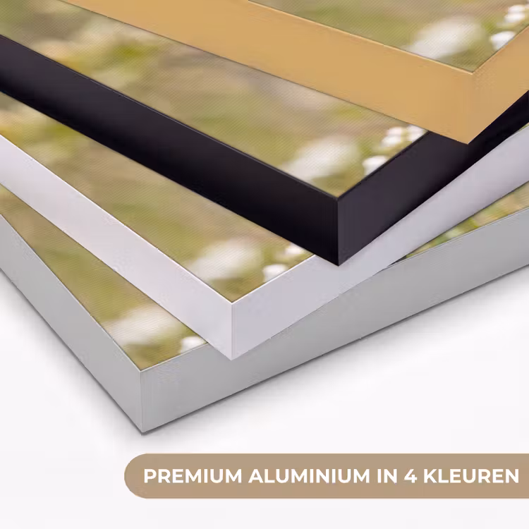 Putter - Bloesem - Lente - Natuur - Kleurrijk Textielframe zwart klein -USP_kleurenNL