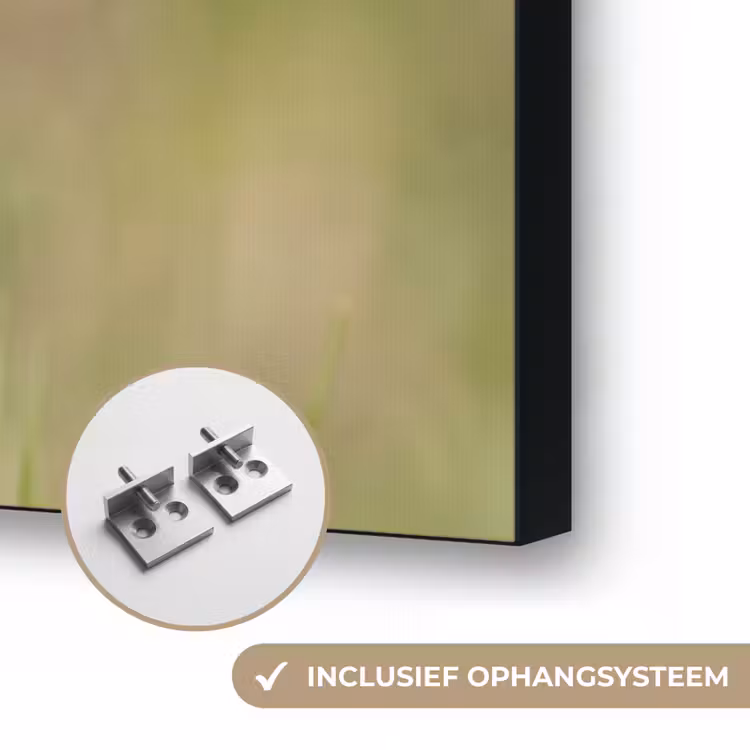 Putter - Bloesem - Lente - Natuur - Kleurrijk Textielframe zwart klein -USP_ophangsysteemNL