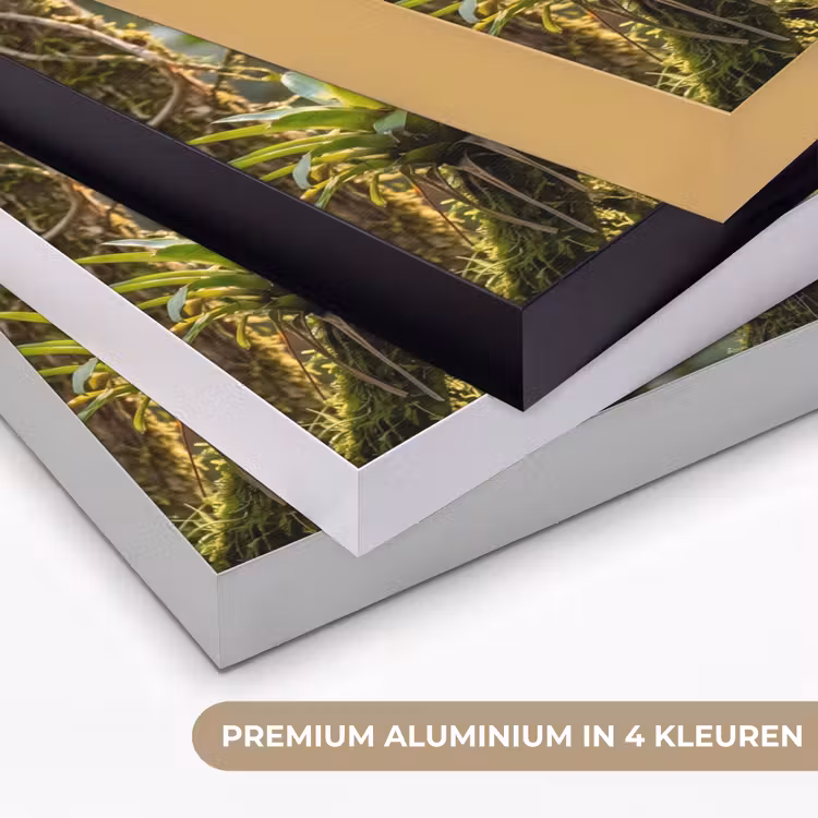 Quetzal - Jungle - Natuur - Groen Textielframe zwart klein -USP_kleurenNL