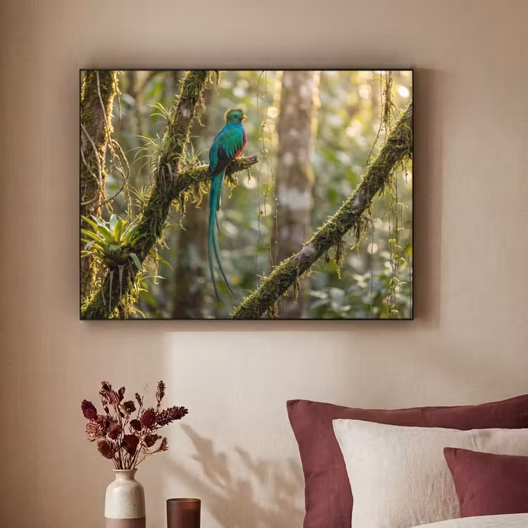 Quetzal - Jungle - Natuur - Groen Textielframe zwart klein -sfeer1