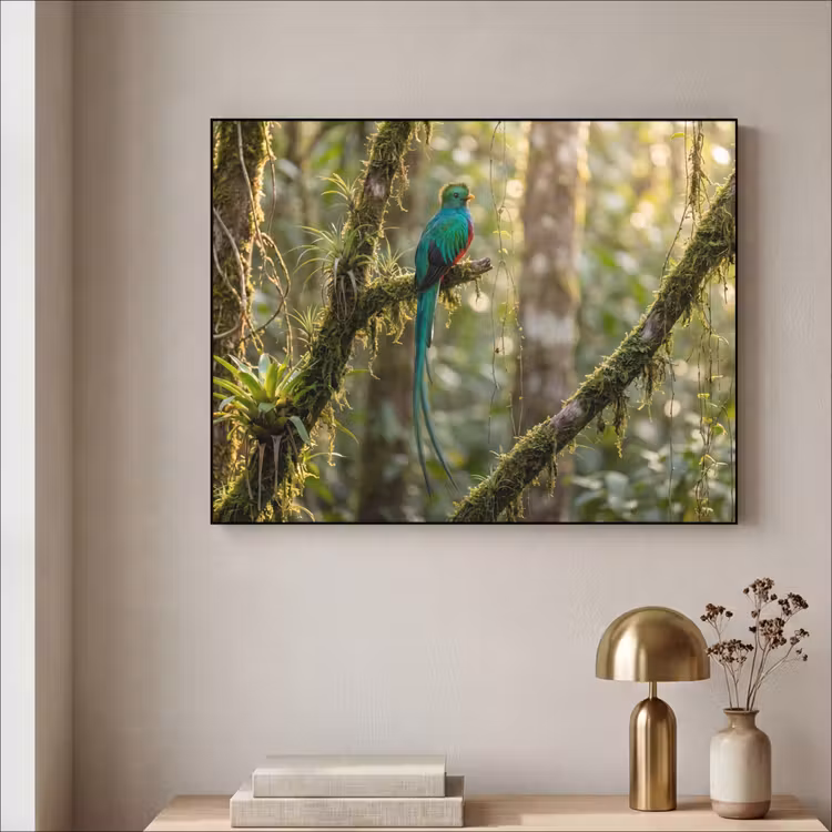 Quetzal - Jungle - Natuur - Groen Textielframe zwart klein -sfeer2