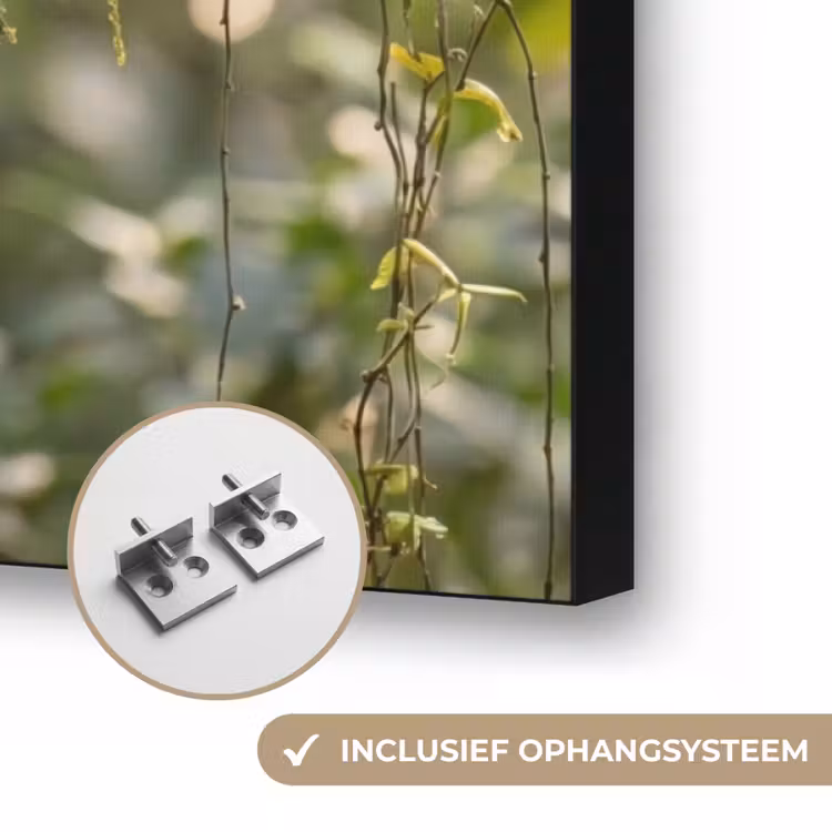 Quetzal - Jungle - Natuur - Groen Textielframe zwart klein -USP_ophangsysteemNL